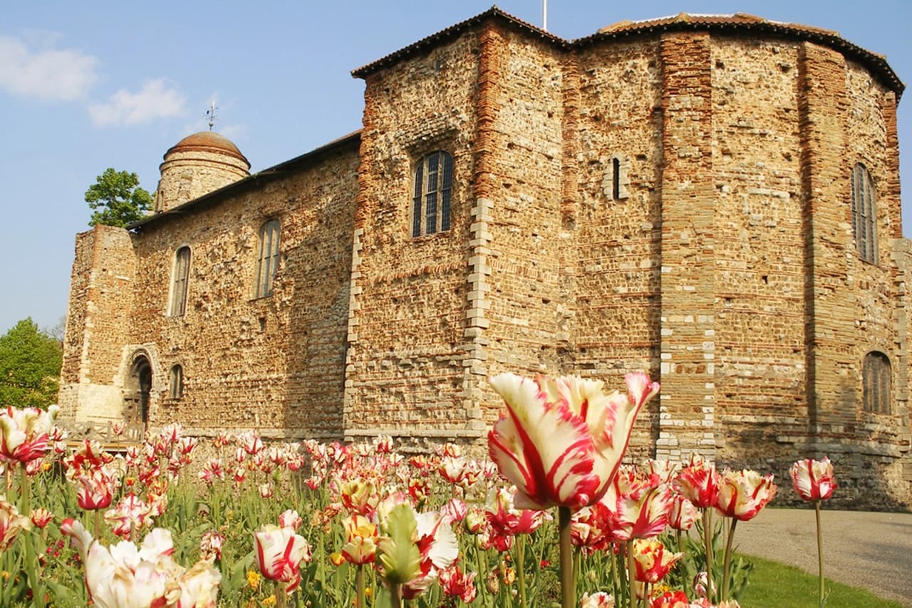 Colchester Castle in Essex, showing the historic Norman stone building with spring tulips in the foreground under a clear sky.